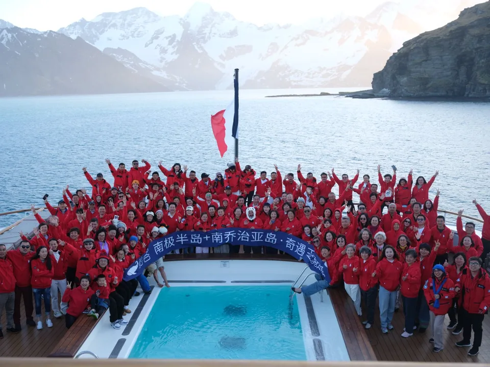 King Penguin Antarctica Dual-Island Voyage, Nov 2024
