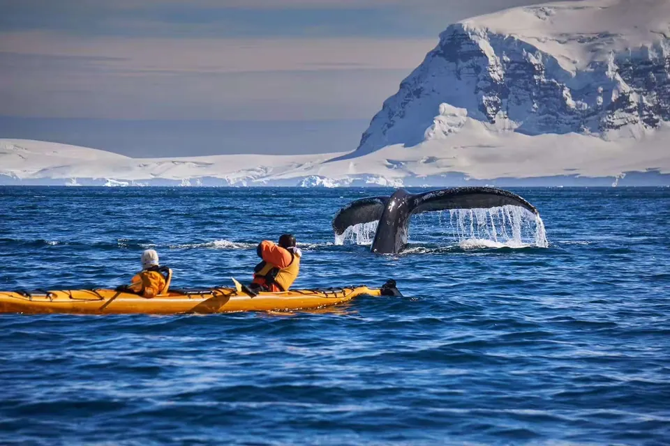 Kayaking