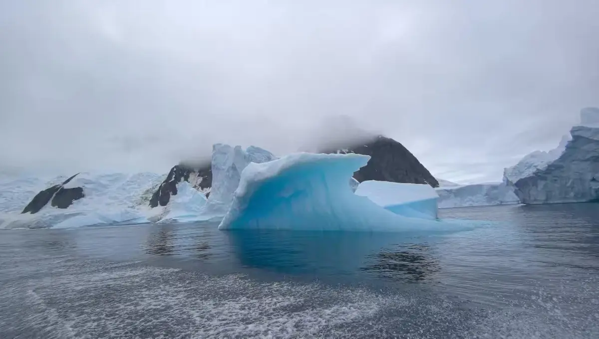 The Southernmost World: Antarctica image 12