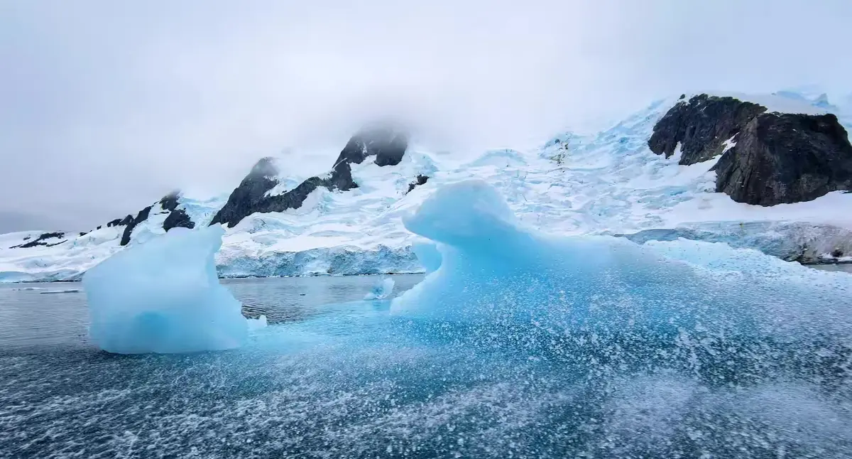 The Southernmost World: Antarctica image 16
