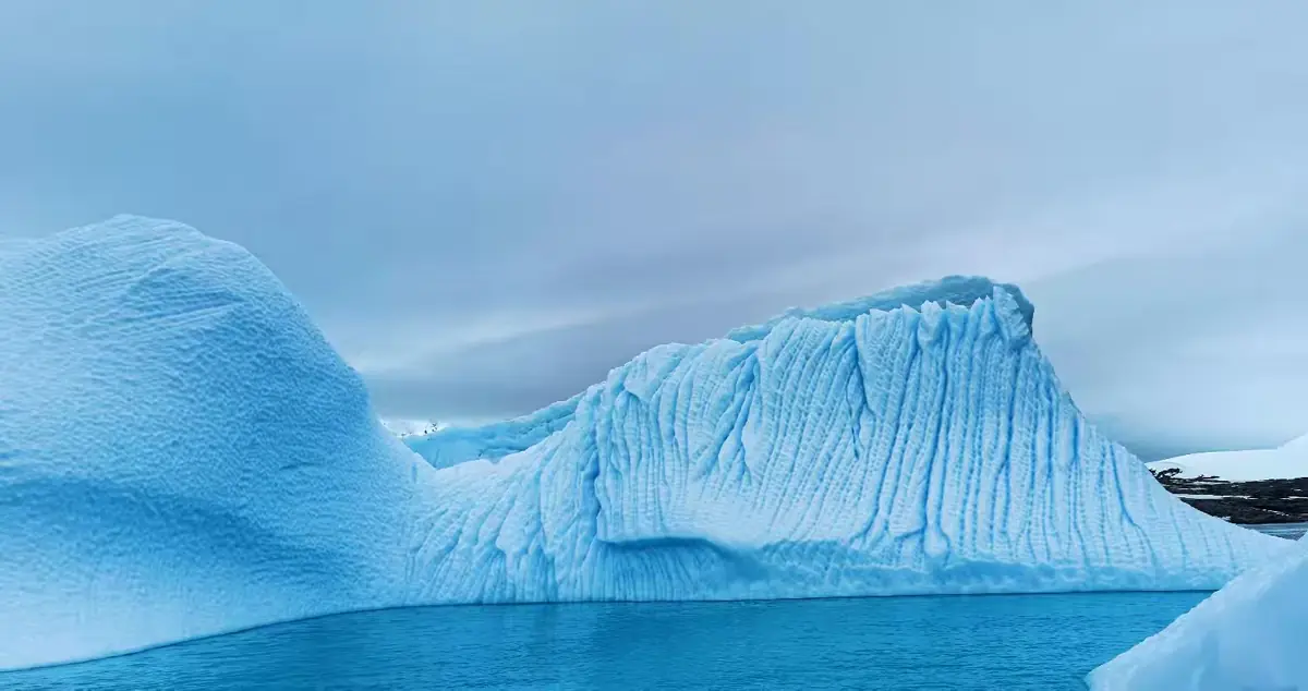 The Southernmost World: Antarctica image 17