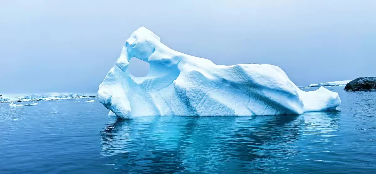 The Southernmost World: Antarctica image 22