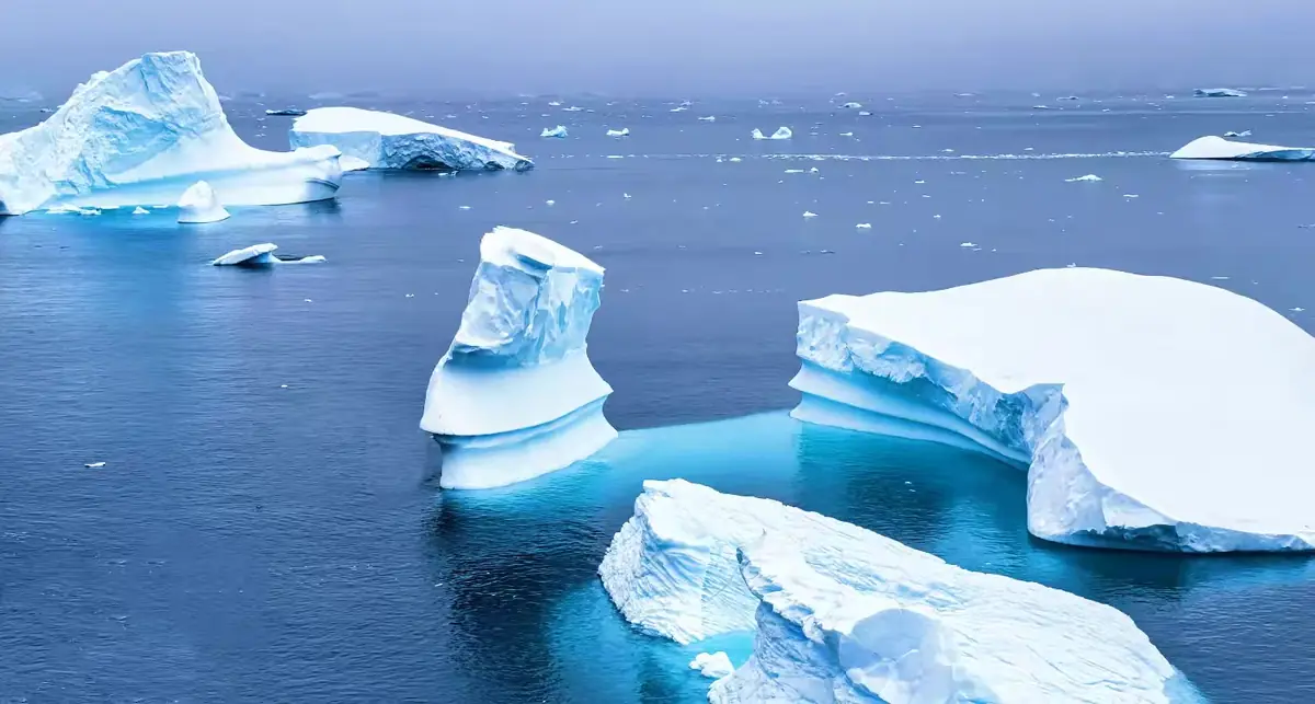 The Southernmost World: Antarctica image 23