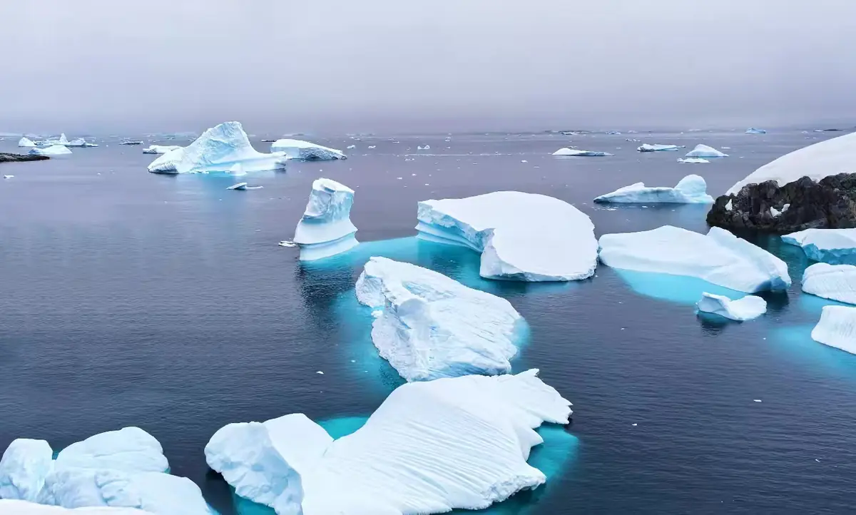 The Southernmost World: Antarctica image 27