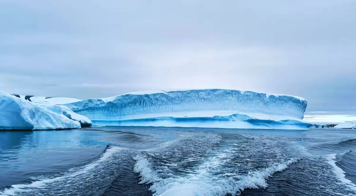 The Southernmost World: Antarctica image 29