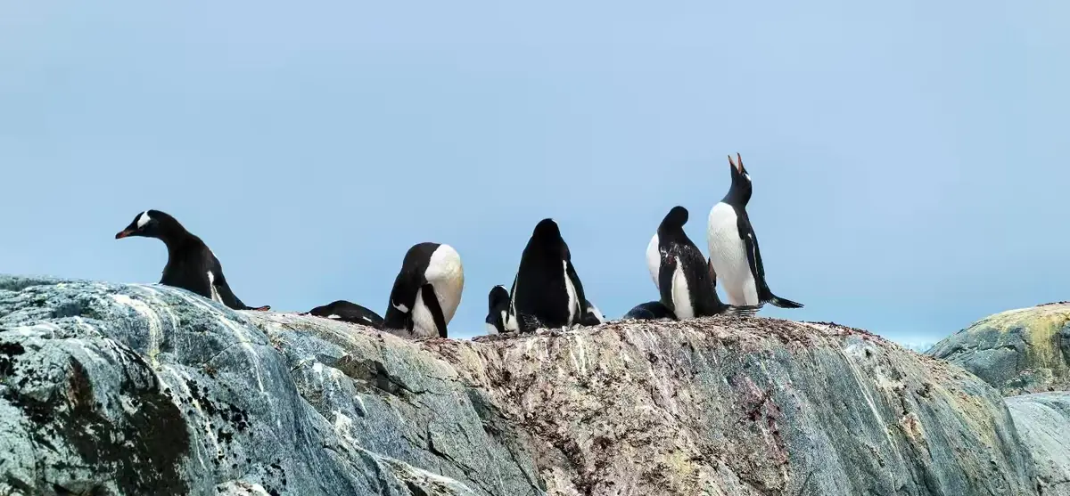 The Southernmost World: Antarctica image 31