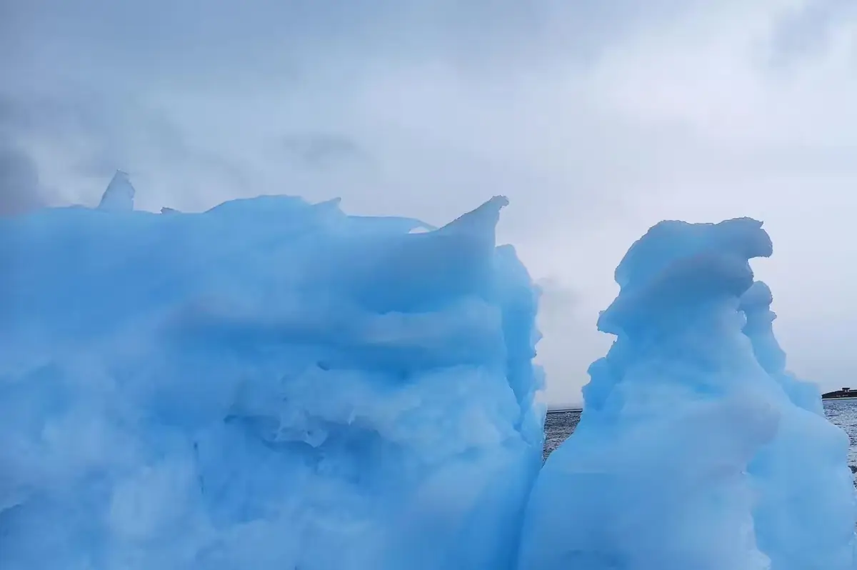 The Southernmost World: Antarctica image 48