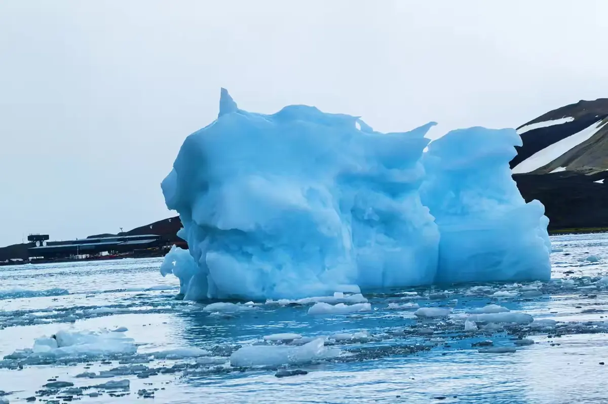 The Southernmost World: Antarctica image 56