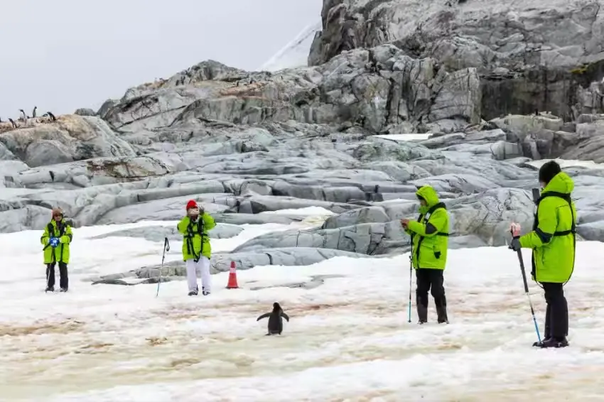 The Southernmost World: Antarctica image 67