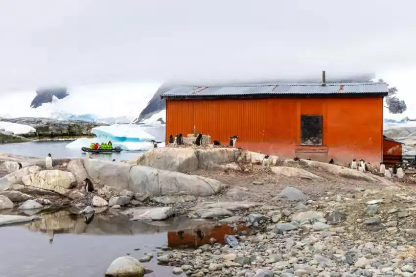 The Southernmost World: Antarctica image 69