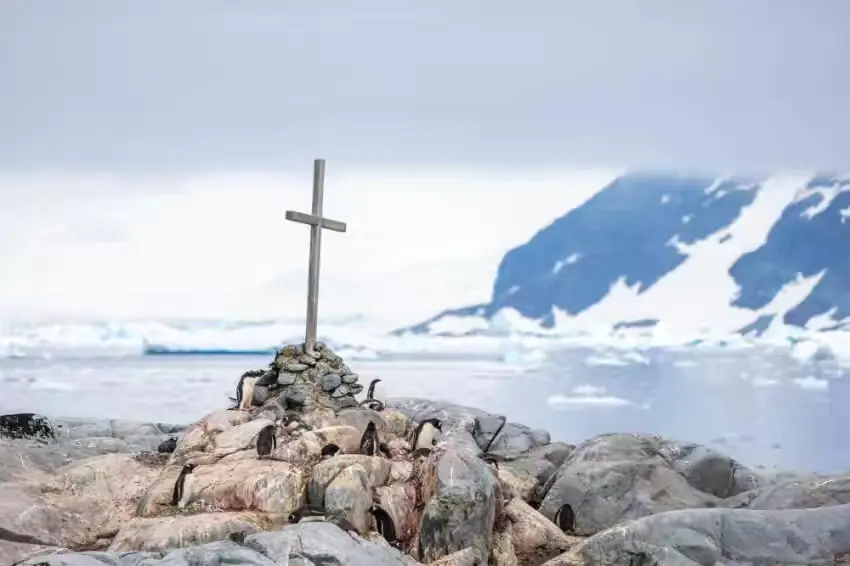 The Southernmost World: Antarctica image 70
