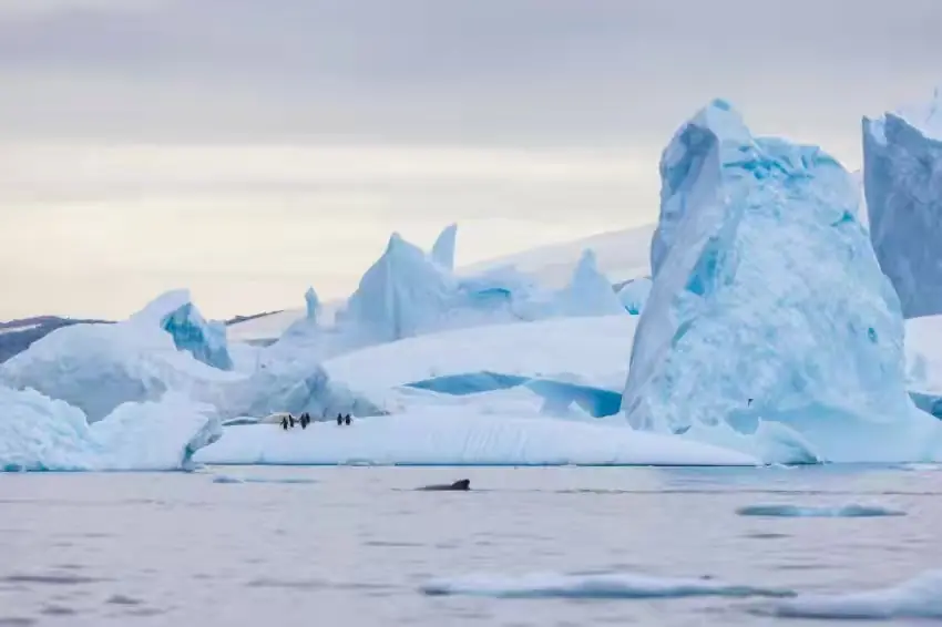 The Southernmost World: Antarctica image 73
