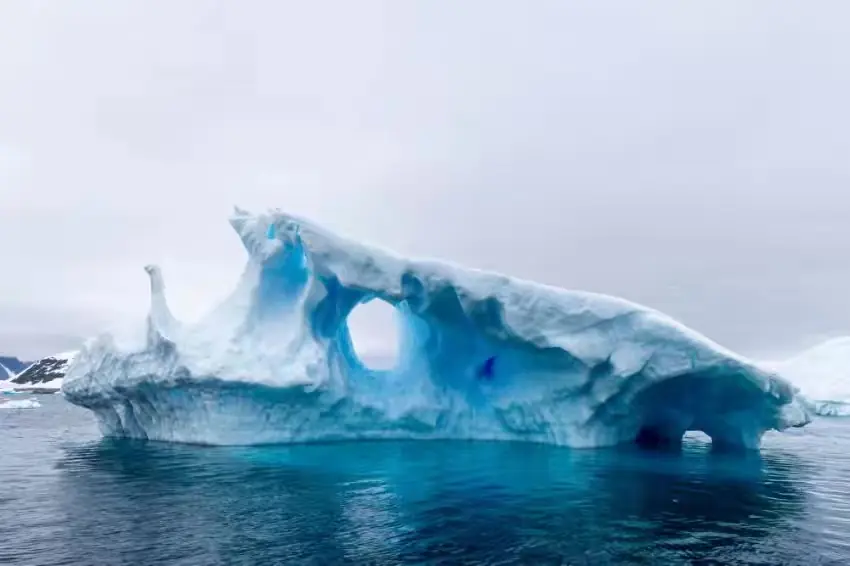 The Southernmost World: Antarctica image 74