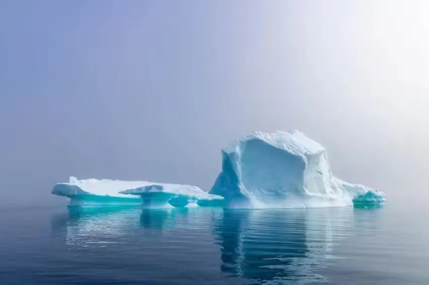 The Southernmost World: Antarctica image 82
