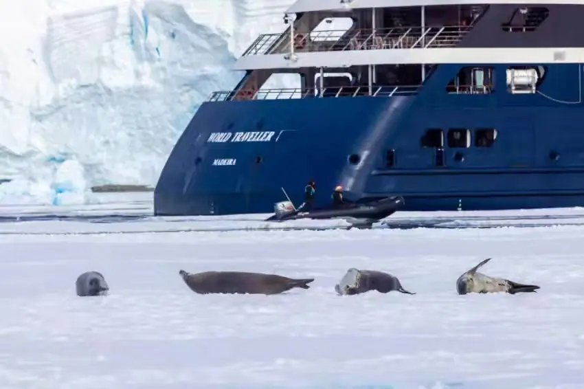 The Southernmost World: Antarctica image 99