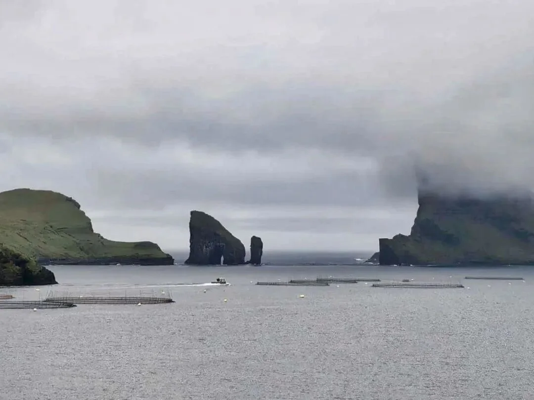 Across the Windy North Atlantic to the Faroe Islands image 7
