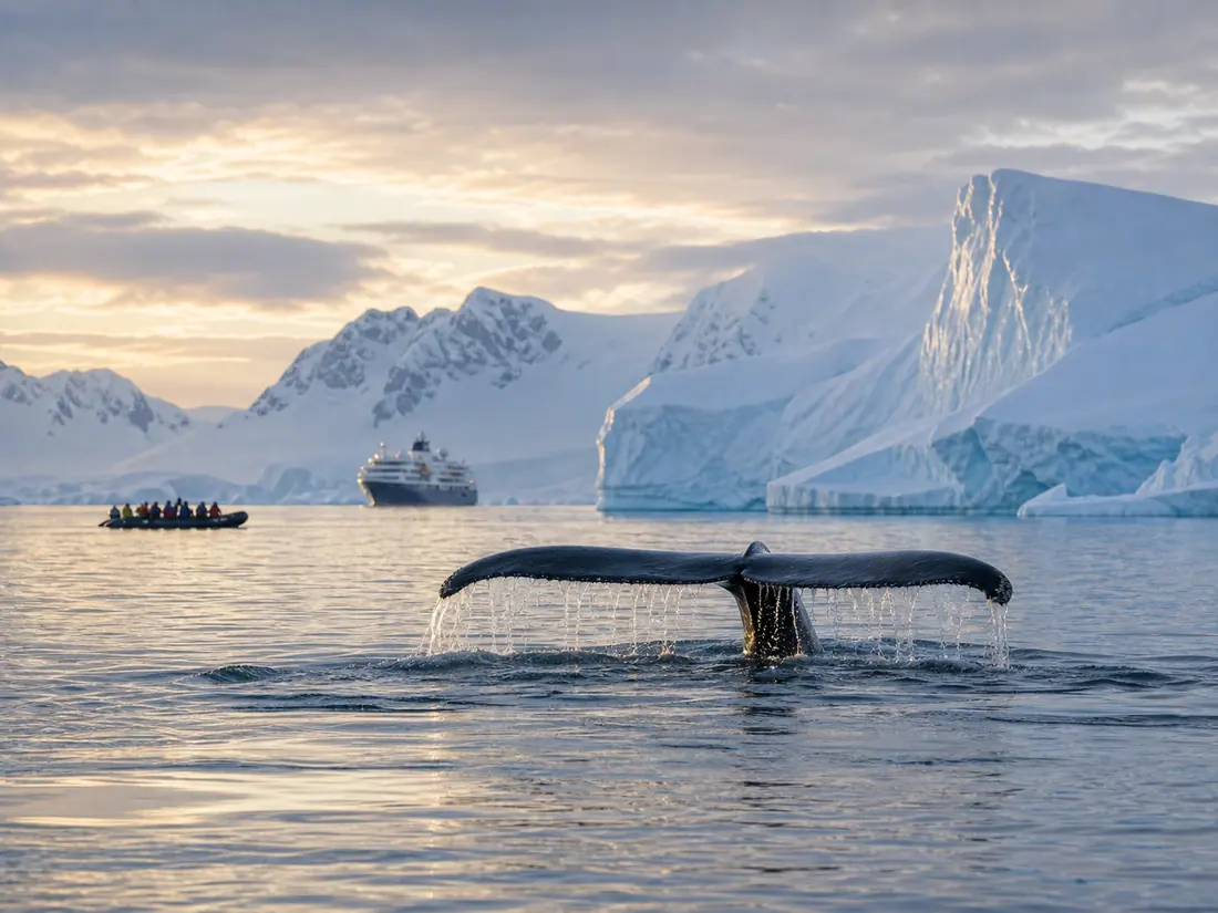 A humpback whale fluke in Antarctic waters, with icebergs, a Zodiac and an expedition ship nearby.