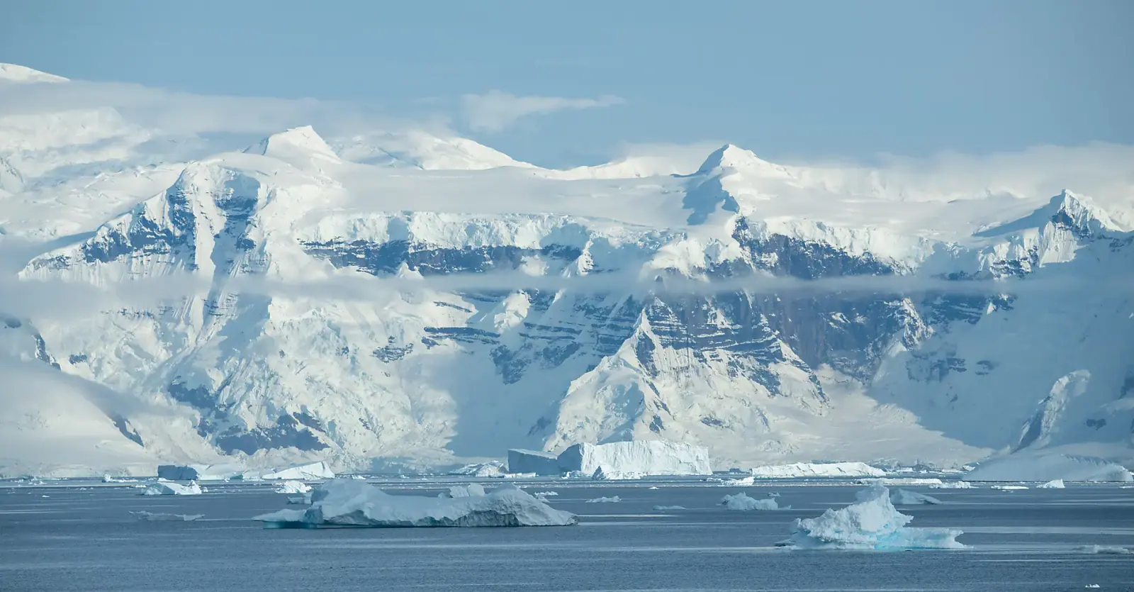 Le Boréal Falkland Islands, South Georgia and Antarctic Peninsula South Georgia Wildlife Coast