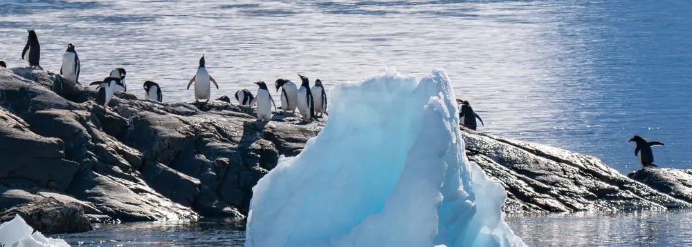 Seabourn Pursuit Classic Antarctic Peninsula Expedition trip image 2