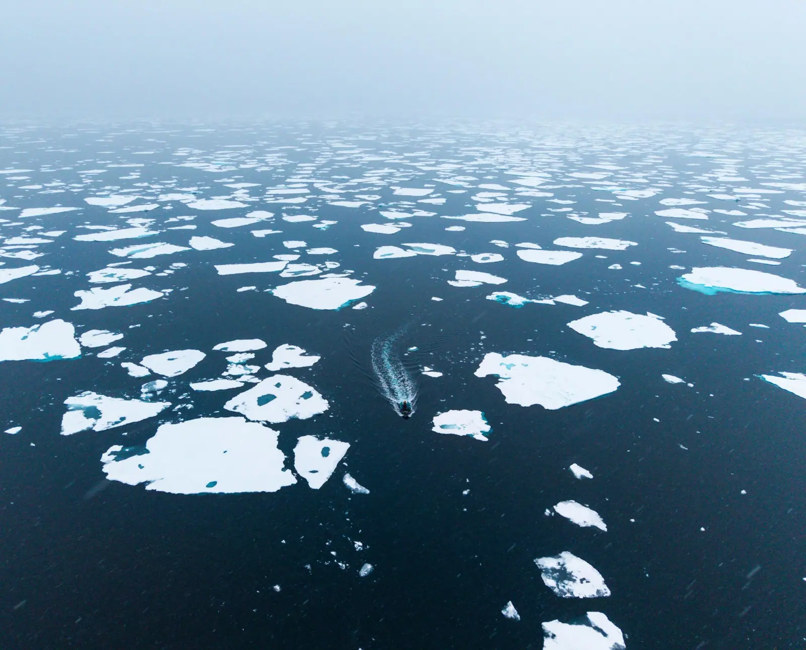 World Traveller 11-night Antarctic Circle and Peninsula Antarctic Circle Crossing