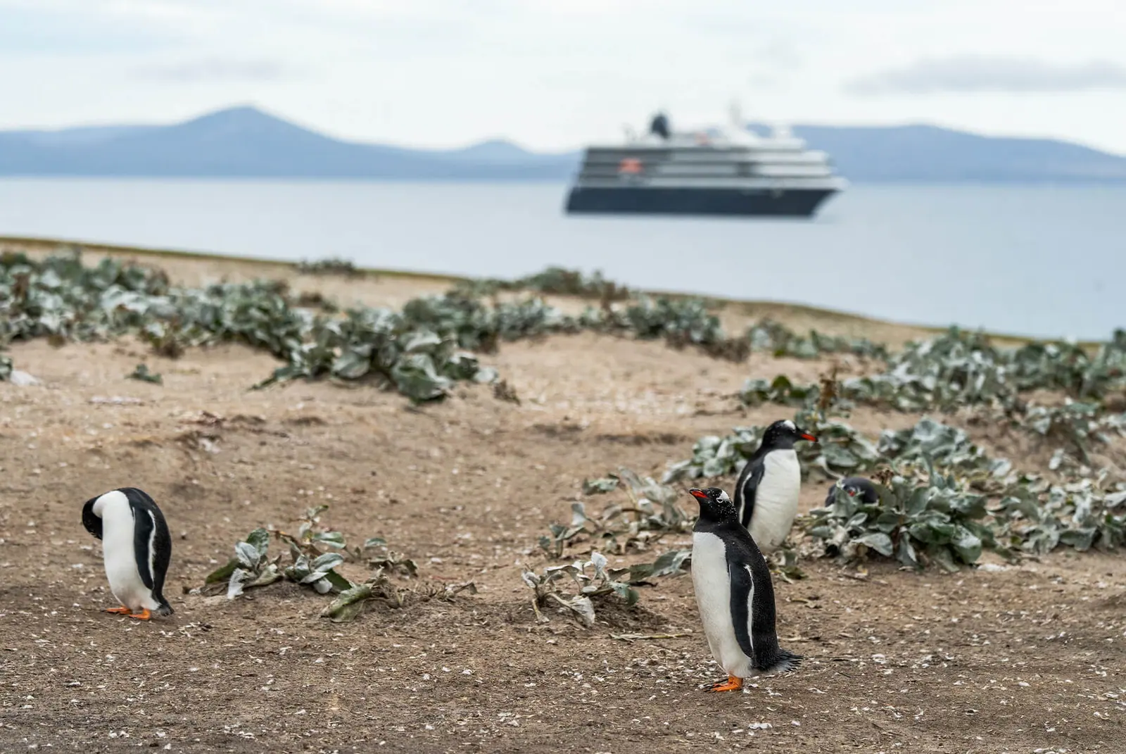 World Traveller 9-night Classic Antarctic Peninsula Drake Passage Crossing and Expedition Preparation