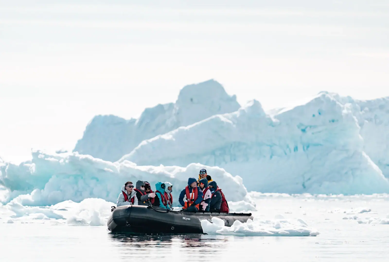 Seaventure Antarctic Circle and Antarctic Peninsula Expedition Antarctic Wildlife Window