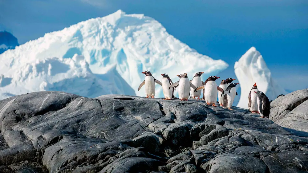 Le Lyrial Classic Antarctic Peninsula Expedition trip image 1