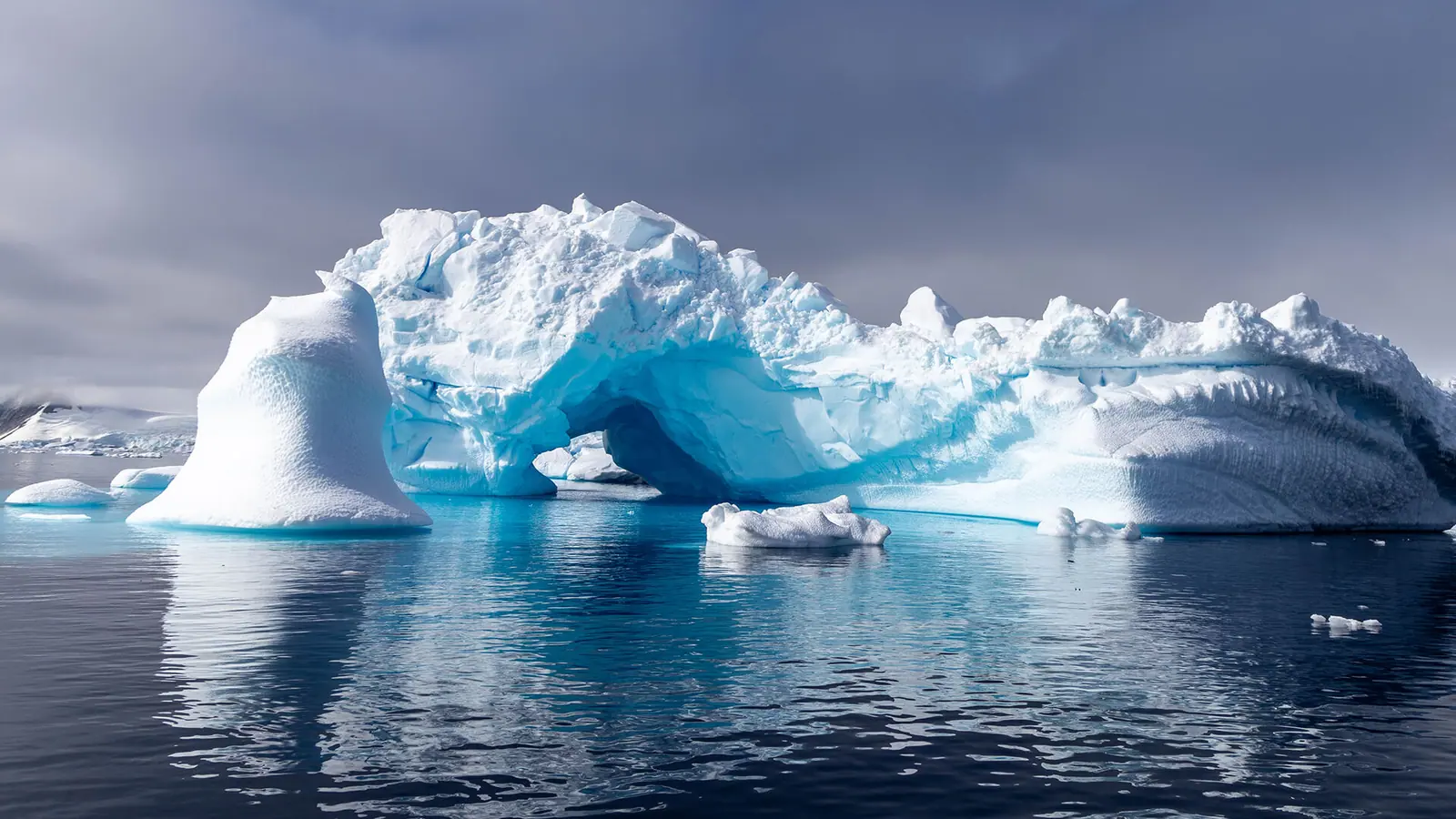 Seaventure Antarctic Circle, Antarctic Peninsula and Great Wall Station Direction Cabin Availability and Booking Notes