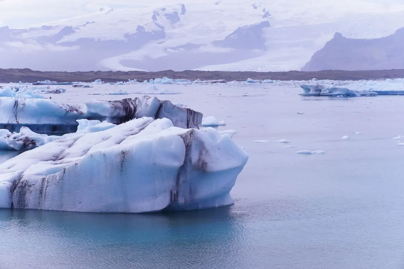 East Greenland icebergs and glaciers