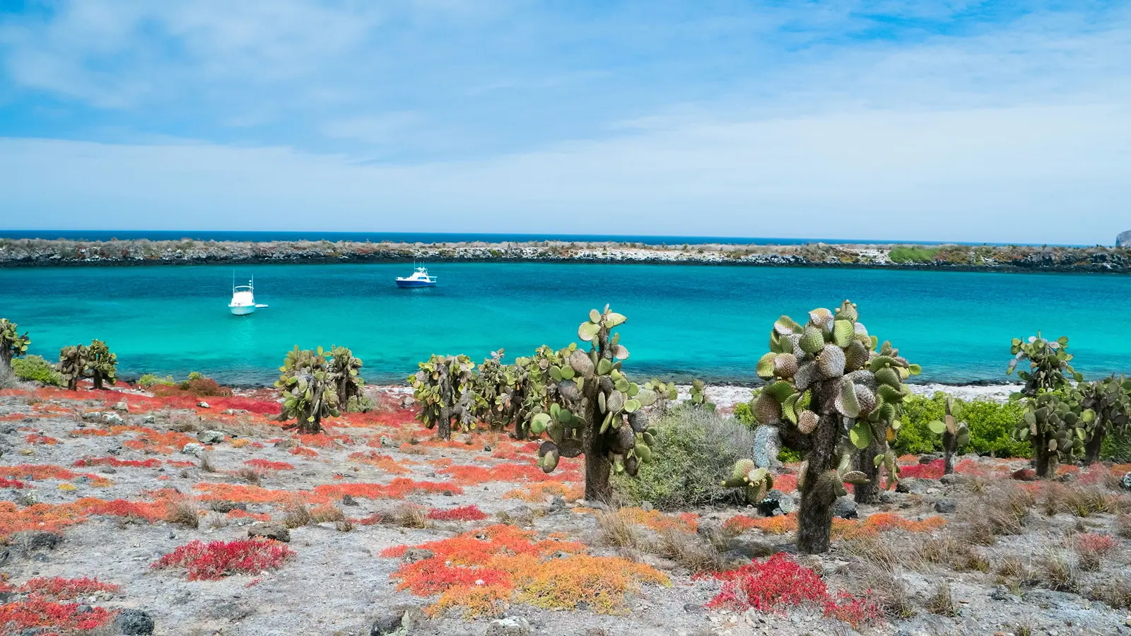 Galapagos coast