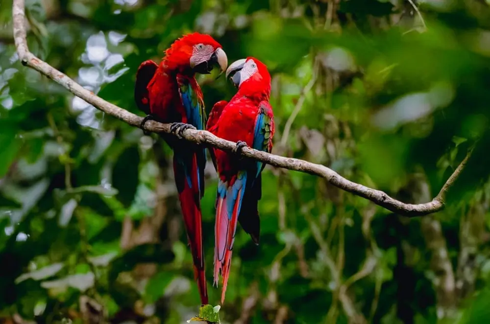 Across the Equator 2026 · Colombia, Ecuador, Panama and Galapagos gallery image 3