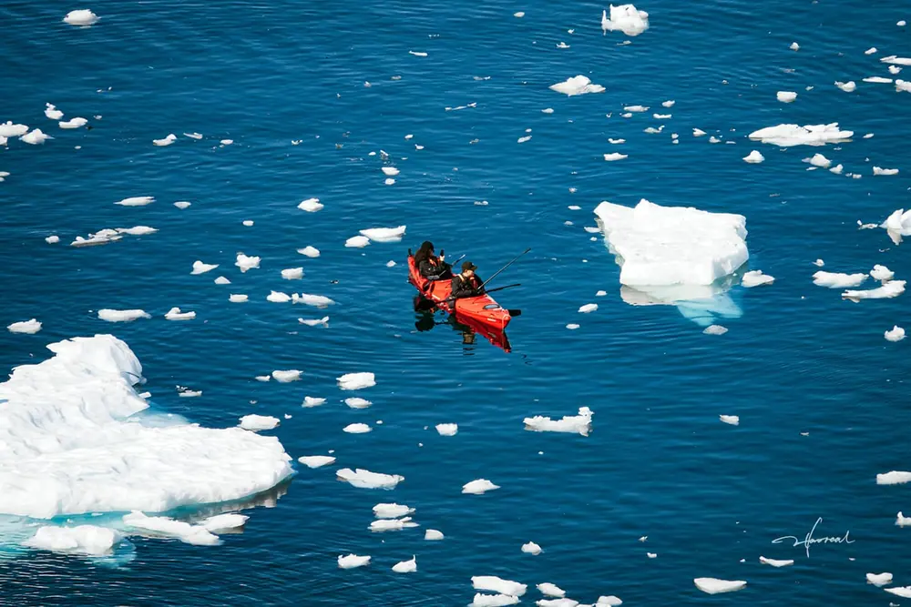 Antarctica Fly-Cruise · King Penguin Encounter gallery image 3 image