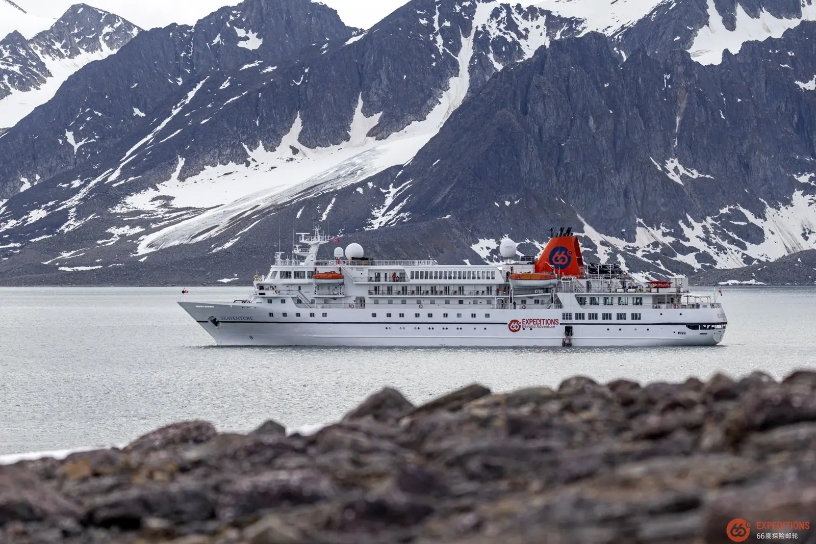 Antarctica Fly-Cruise · King Penguin Encounter Highlight 1 image
