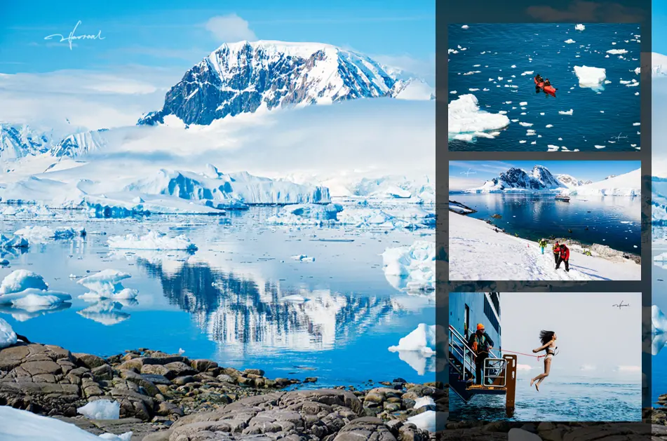Antarctica Fly-Cruise · King Penguin Encounter Highlight 4 image