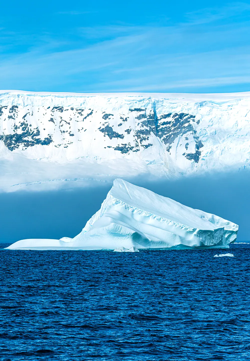 Antarctica and South Georgia · King Penguin Fly-Cruise, 22 Days gallery image 2 image