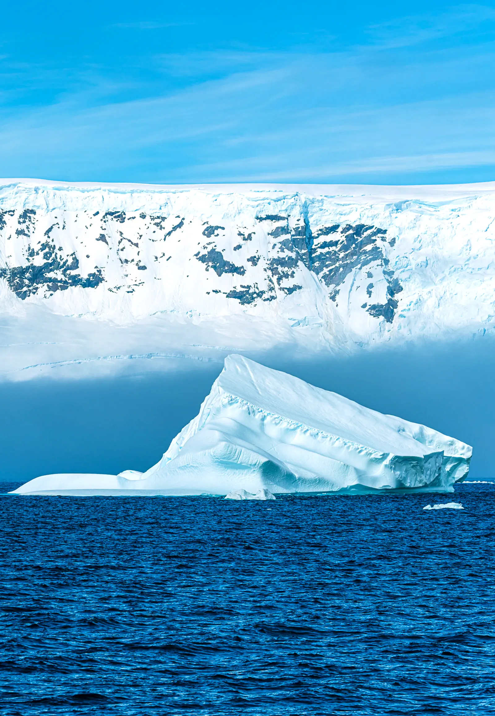 Antarctica and South Georgia · King Penguin Fly-Cruise, 22 Days Highlight 4 image