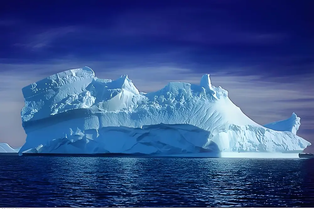 Antarctic Peninsula and South Georgia · King Penguin Encounter gallery image 1 image