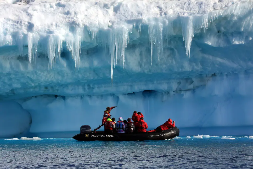 Antarctic Peninsula and South Georgia · King Penguin Encounter Highlight 4 image