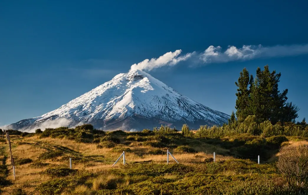Cotopaxi Volcano and Andean Highland Ecology