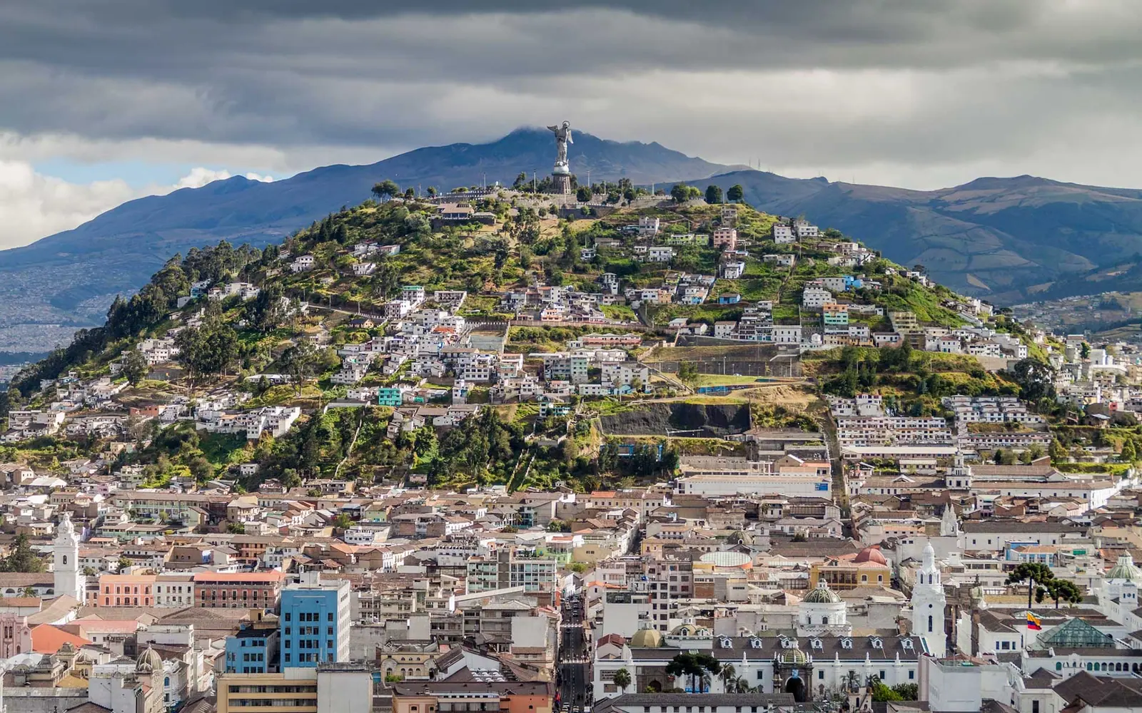Ecuador, A Global Storehouse of Species