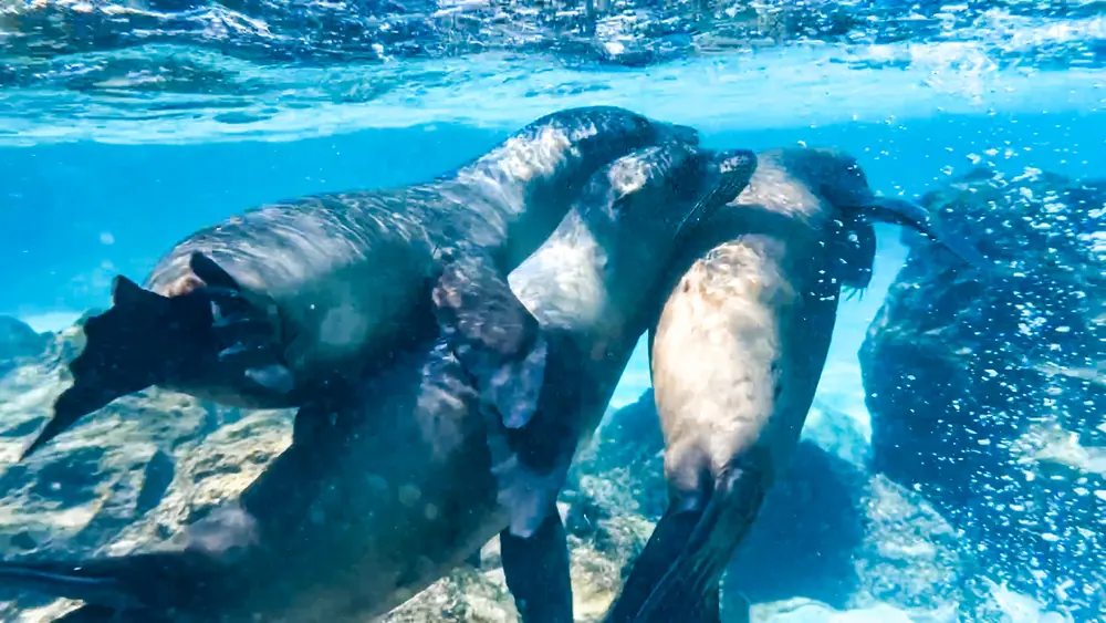 Across the Equator 2027 · Colombia, Ecuador, Panama and Galapagos gallery image 2