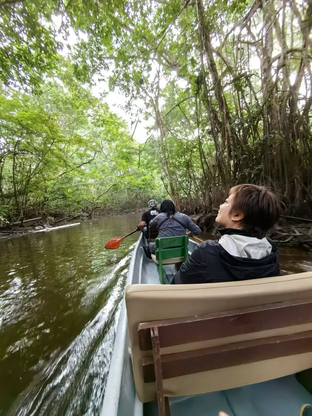 Amazon Rainforest and La Selva Eco-Lodge
