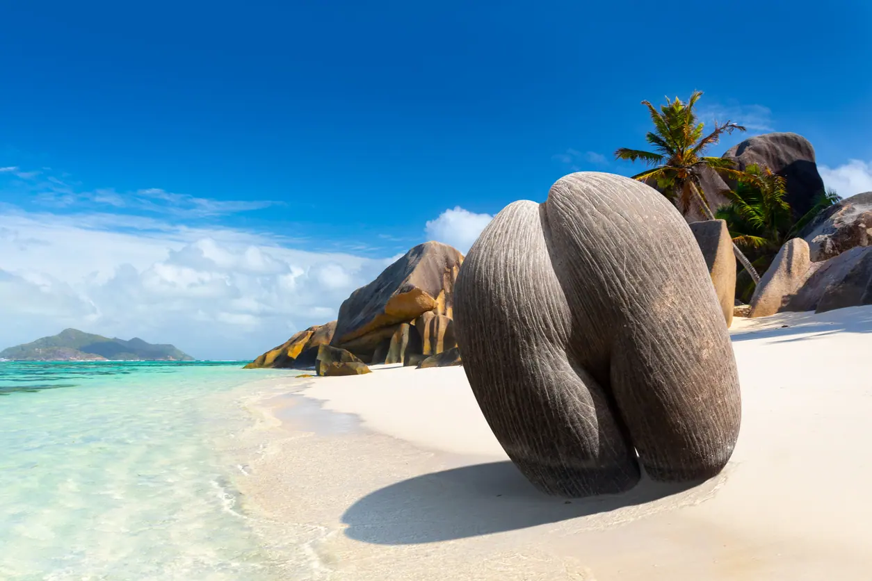 Praslin: Vallee de Mai and Anse Lazio
