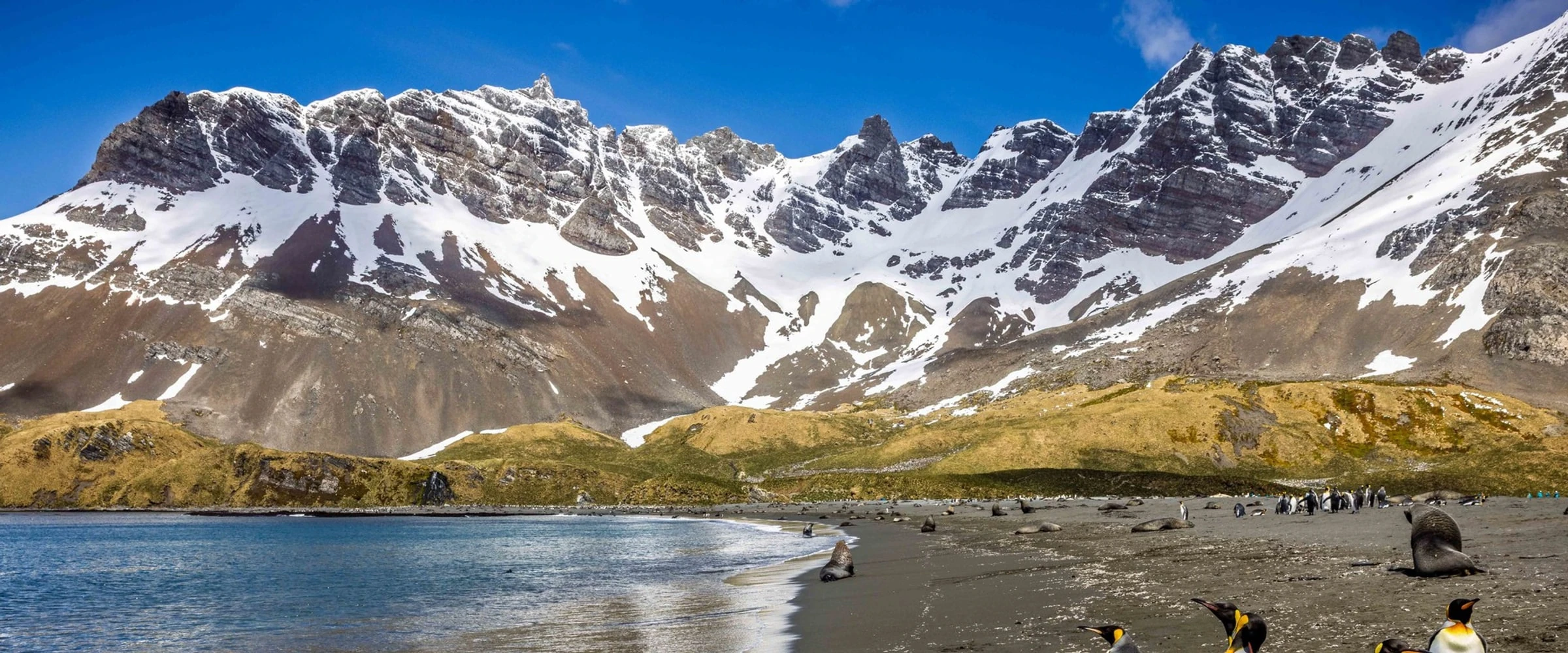 Seaventure · 12-Day Classic Antarctic Peninsula Cruise, Nov 14, 2026