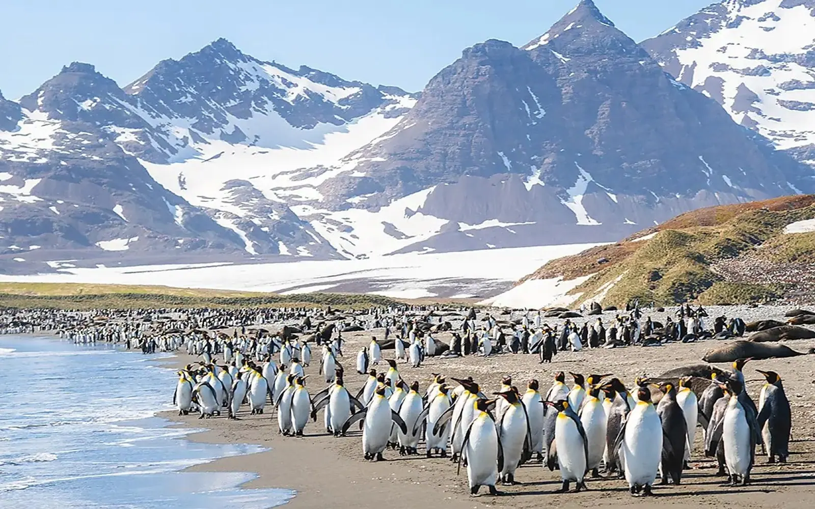 Seaventure Classic Antarctic Peninsula Expedition Antarctic Peninsula Ice Coast