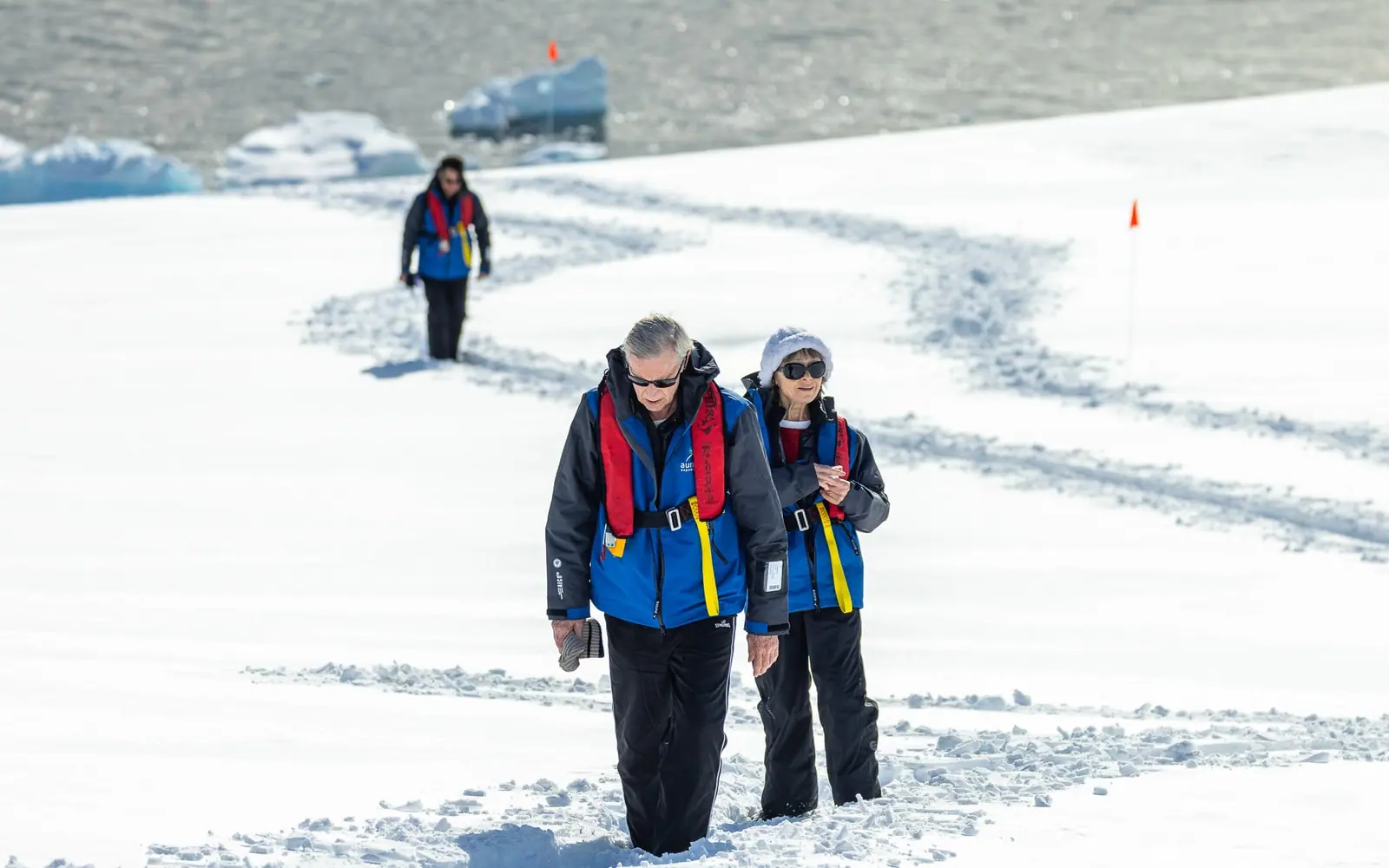 Magellan Explorer Classic Antarctica Air-Cruise Punta Arenas and King George Island Flight Connection
