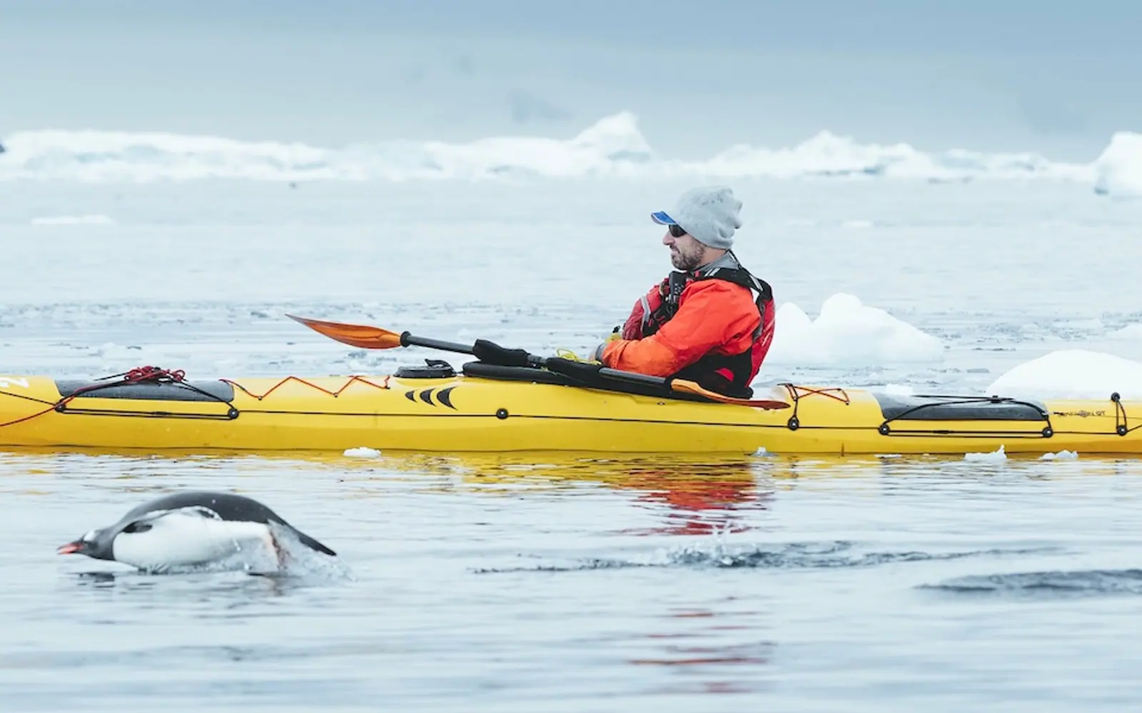 Magellan Explorer Classic Antarctica Air-Cruise Zodiac Cruising, Landings and Expedition Team