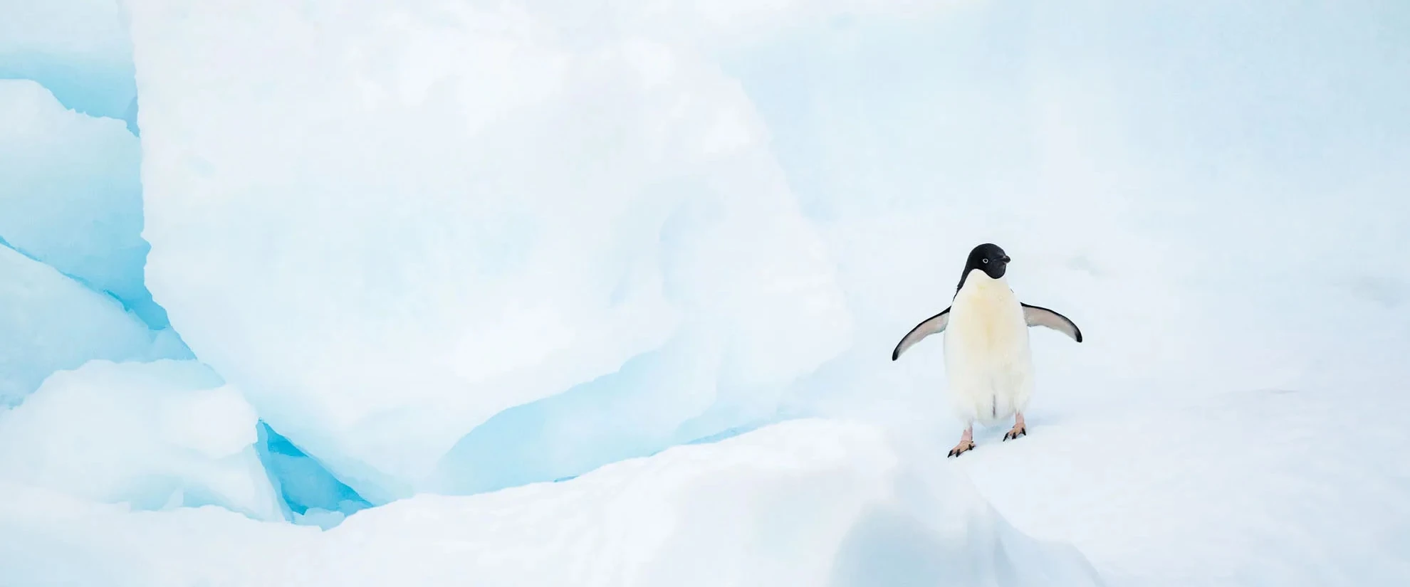 Magellan Explorer · 8-Day Antarctica Fly-Cruise, Dec 20, 2026