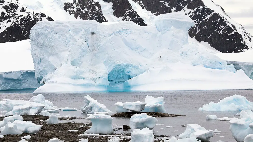 Magellan Discoverer Antarctic Express Air-Cruise trip image 1