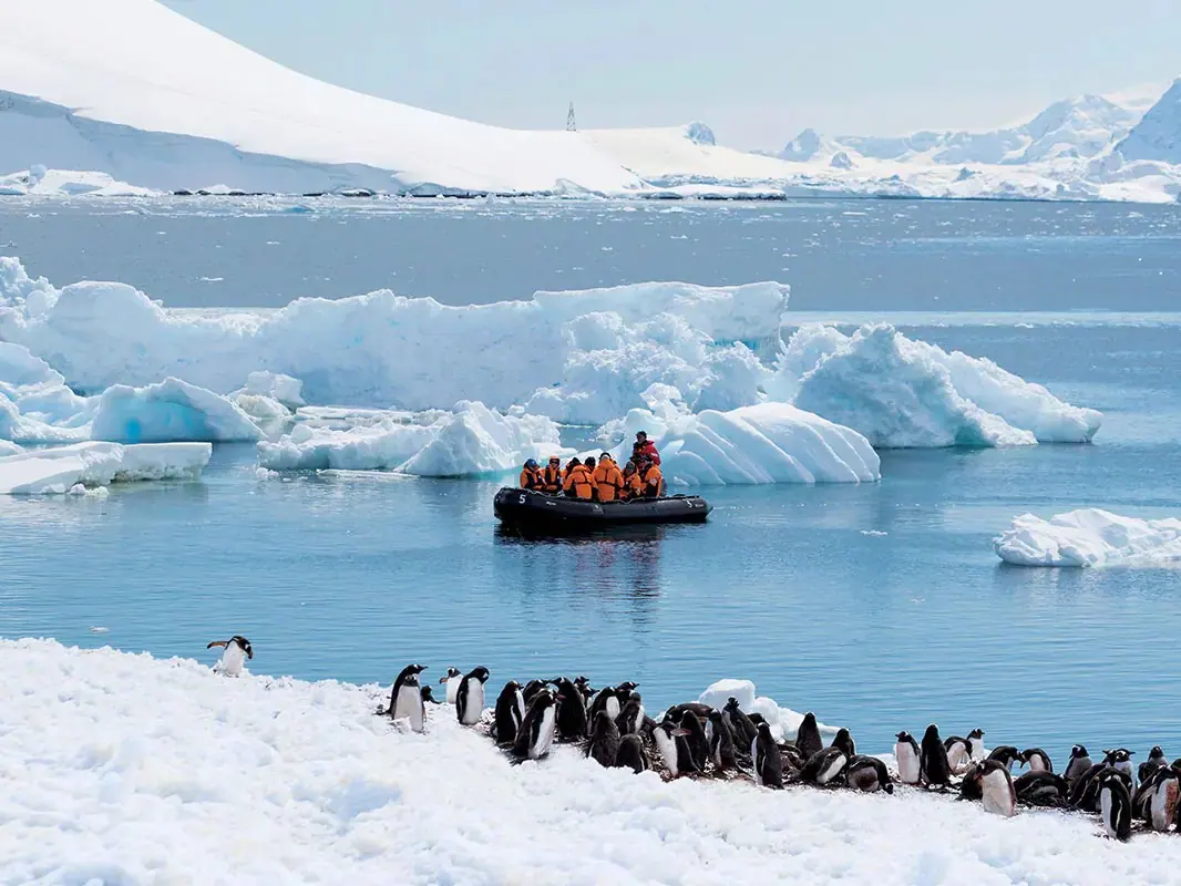 Magellan Discoverer Antarctic Express Air-Cruise Punta Arenas and King George Island Flight Connection